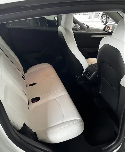 Tesla Model Y Performance Image 4